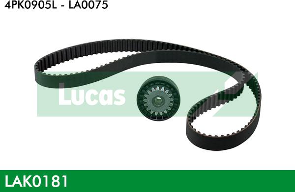 LUCAS LAK0181 - Kit Cinghie Poly-V www.autoricambit.com