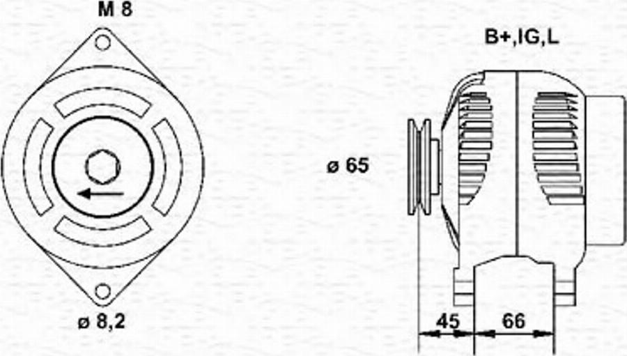 Magneti Marelli 943346024010 - Alternatore www.autoricambit.com