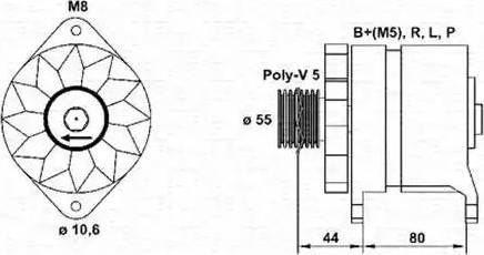 Magneti Marelli 943356927010 - Alternatore www.autoricambit.com