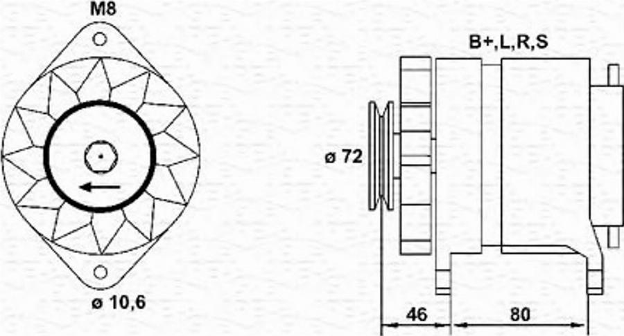 Magneti Marelli 943356392010 - Alternatore www.autoricambit.com