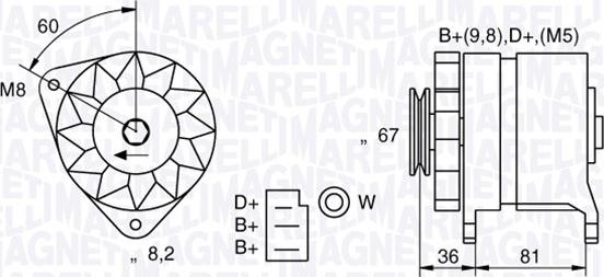 Magneti Marelli 054022384010 - Alternatore www.autoricambit.com