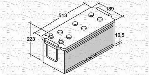 Magneti Marelli 068120080020 - Batteria avviamento www.autoricambit.com