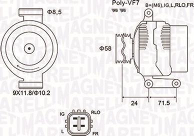 Magneti Marelli 063731965010 - Alternatore www.autoricambit.com