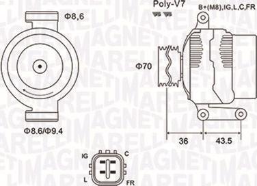 Magneti Marelli 063731980010 - Alternatore www.autoricambit.com