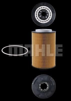 Magneti Marelli 154072350182 - Filtro olio www.autoricambit.com