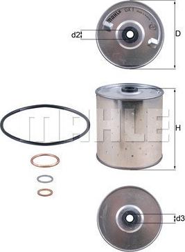 Magneti Marelli 154077690600 - Filtro olio www.autoricambit.com