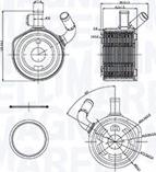 Magneti Marelli 350300002900 - Radiatore olio, Olio motore www.autoricambit.com