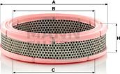 Mann-Filter C 2443 - Filtro aria www.autoricambit.com