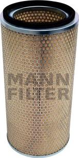 Mann-Filter C 21 493 - Filtro aria www.autoricambit.com