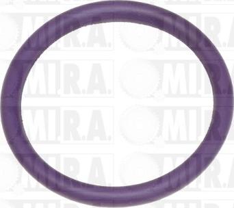 MI.R.A. 50/1007 - Anello tenuta, Tubo refrigerante www.autoricambit.com