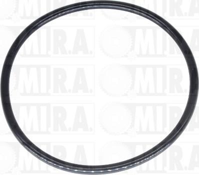 MI.R.A. 13/4121G - Guarnizione, Collettore gas scarico www.autoricambit.com