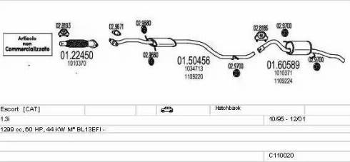 MTS C110020003718 - Impianto gas scarico www.autoricambit.com