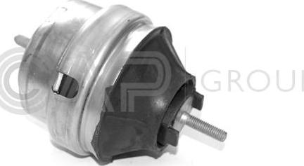 OCAP 1225064 - Sospensione, Motore www.autoricambit.com