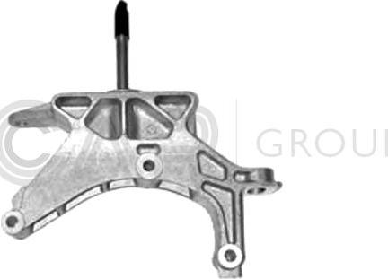 OCAP 1225798 - Sospensione, Motore www.autoricambit.com