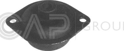 OCAP 1225755 - Sospensione, Motore www.autoricambit.com