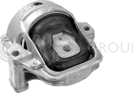 OCAP 1226075 - Sospensione, Motore www.autoricambit.com