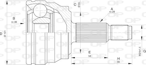 Open Parts CVJ5580.10 - Kit giunti, Semiasse www.autoricambit.com