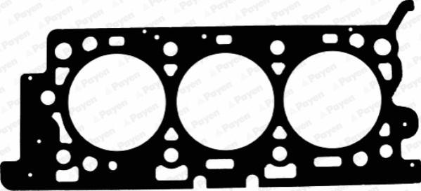 Payen AC5390 - Guarnizione, Testata www.autoricambit.com