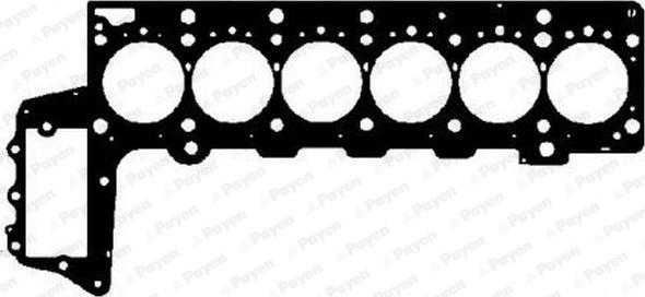 Payen AG9020 - Guarnizione, Testata www.autoricambit.com