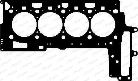 Payen AG5030 - Guarnizione, Testata www.autoricambit.com