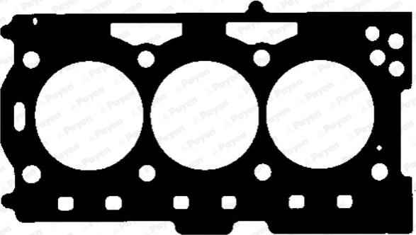 Payen AG8840 - Guarnizione, Testata www.autoricambit.com