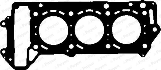 Payen AH5020 - Guarnizione, Testata www.autoricambit.com