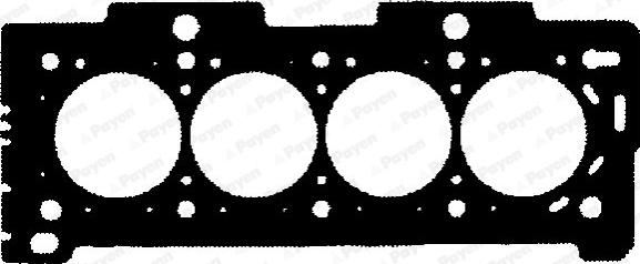 Payen BY180 - Guarnizione, Testata www.autoricambit.com