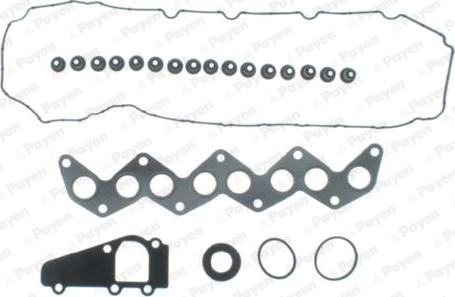 Payen CD5490 - Kit guarnizioni, Testata www.autoricambit.com