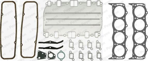 Payen DR290 - Kit guarnizioni, Testata www.autoricambit.com