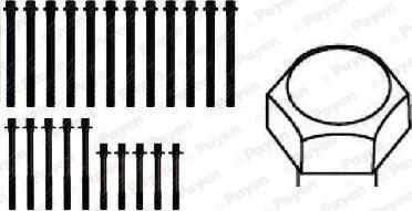 Payen HBS106 - Kit bulloni testata www.autoricambit.com