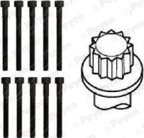 Payen HBS306 - Kit bulloni testata www.autoricambit.com