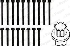 Payen HBS379 - Kit bulloni testata www.autoricambit.com