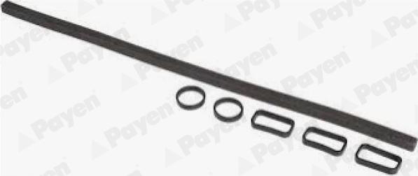 Payen HM5409 - Kit guarnizioni, Copritestata www.autoricambit.com