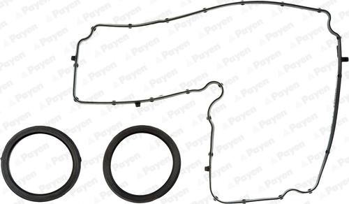 Payen HM5369 - Kit guarnizioni, Copritestata www.autoricambit.com