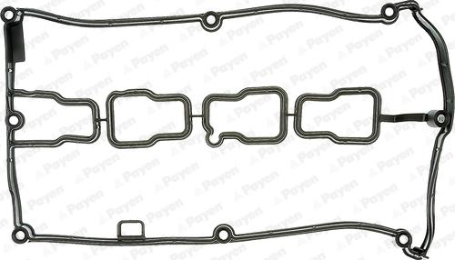 Payen JM5002 - Guarnizione, Copritestata www.autoricambit.com