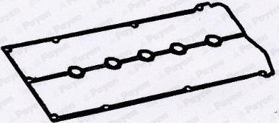 Payen JM5018 - Guarnizione, Copritestata www.autoricambit.com