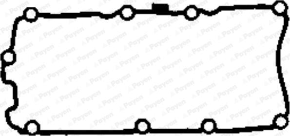 Payen JM7046 - Guarnizione, Copritestata www.autoricambit.com