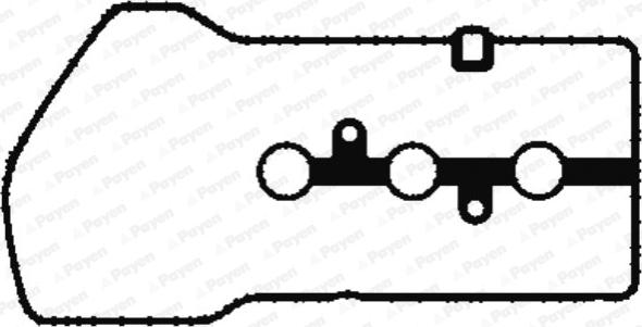 Payen JM7042 - Guarnizione, Copritestata www.autoricambit.com