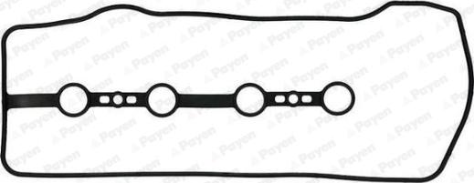 Payen JM7022 - Guarnizione, Copritestata www.autoricambit.com