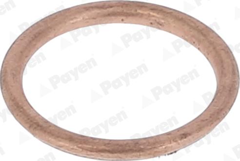 Payen KJ647 - Anello di tenuta, vite di scarico olio www.autoricambit.com