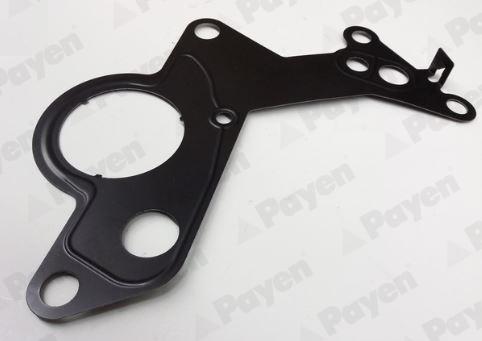 Payen KK5746 - Guarnizione, Pompa carburante www.autoricambit.com