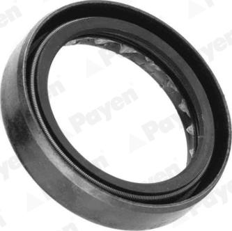 Payen NJ125 - Paraolio, Cambio manuale www.autoricambit.com