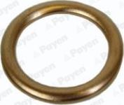 Payen PA217 - Anello di tenuta, vite di scarico olio www.autoricambit.com