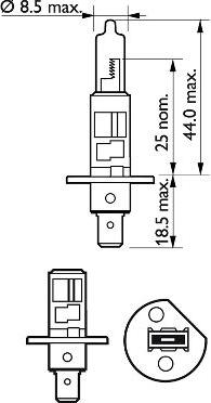 PHILIPS 12258VPS2 - Lampadina, Faro di profondità www.autoricambit.com