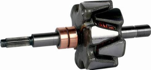 PowerMax 81112501 - Rotore, Alternatore www.autoricambit.com