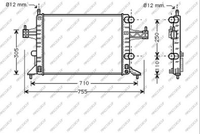 Prasco OP030R001 - Radiatore, Raffreddamento motore www.autoricambit.com