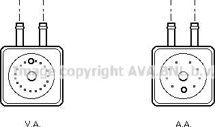 Prasco VN3148 - Radiatore olio, Olio motore www.autoricambit.com