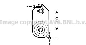 Prasco VN3110 - Radiatore olio, Cambio automatico www.autoricambit.com