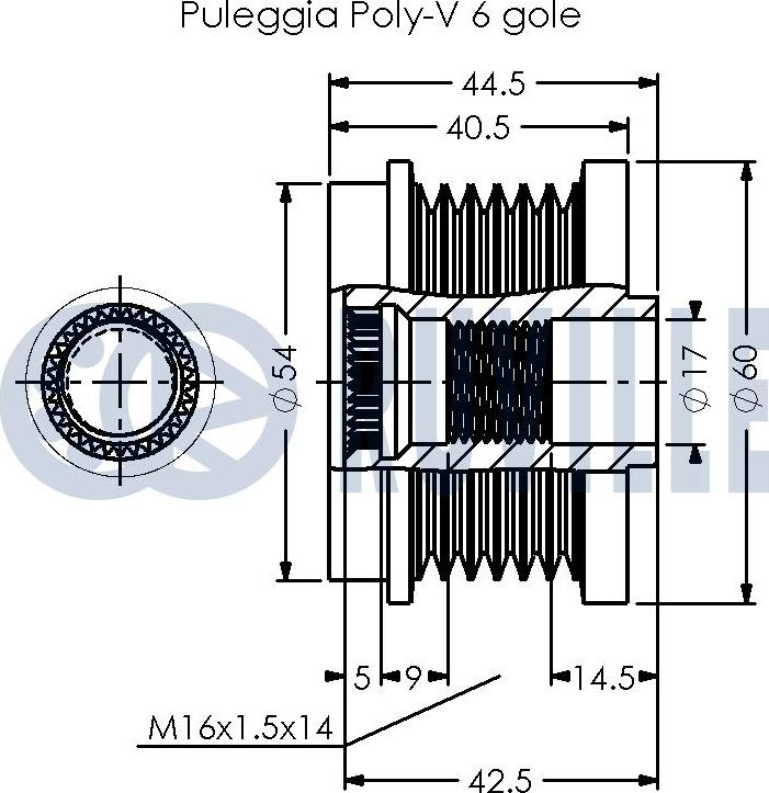 Ruville 542466 - Puleggia cinghia, Alternatore www.autoricambit.com