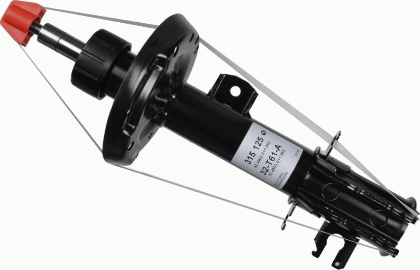 SACHS 315 125 - Ammortizzatore www.autoricambit.com